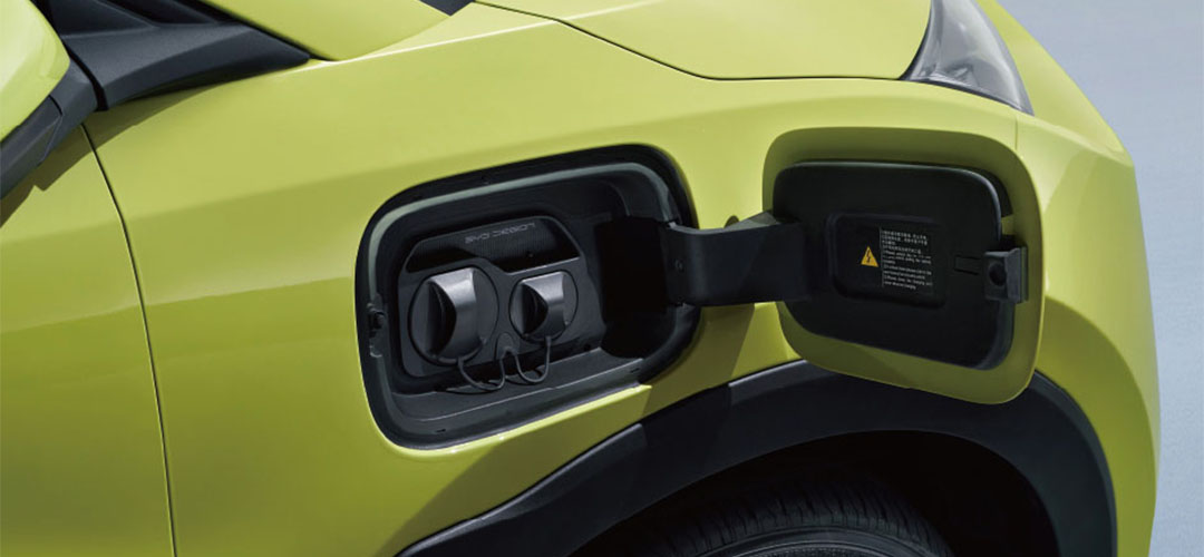 BYD Dolphin Mini eficiência energética