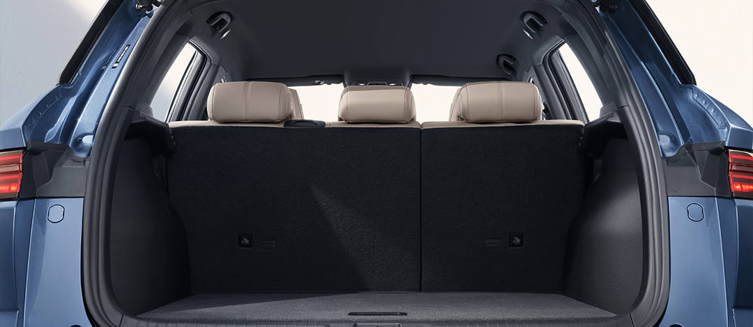 BYD Song Pro Autonomia