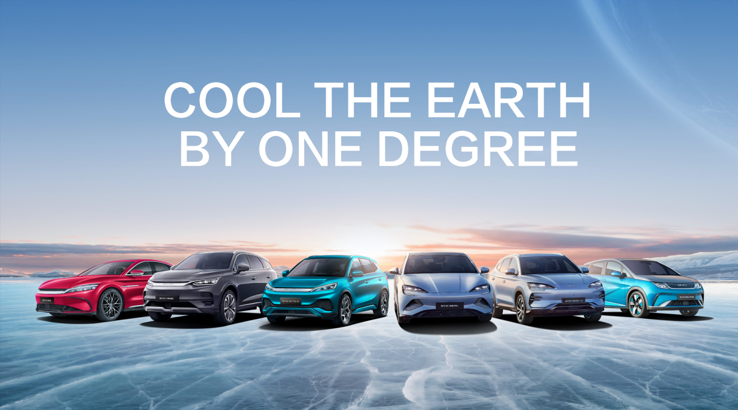 Meet our cars in the stadium