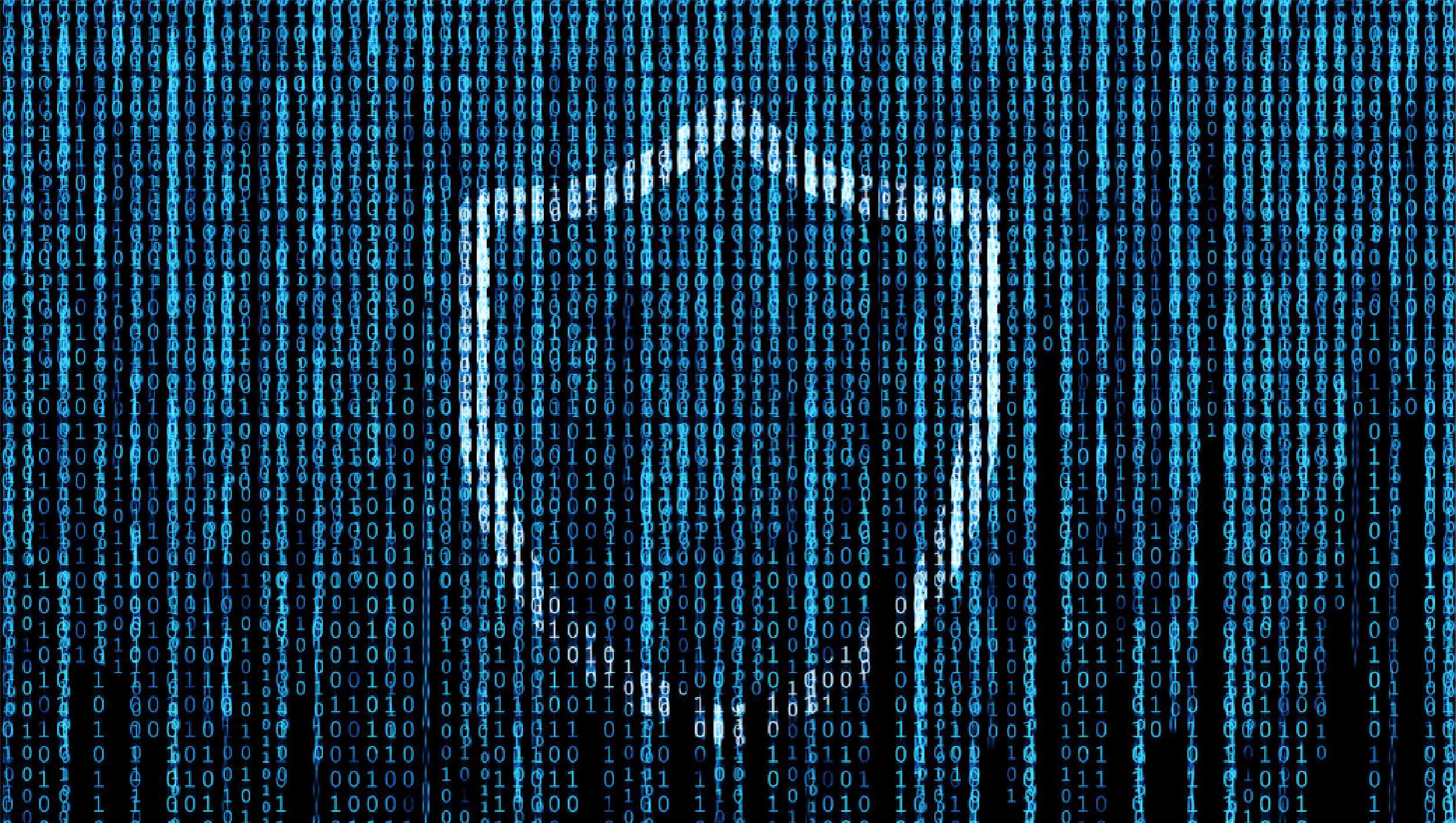 Management of the Software