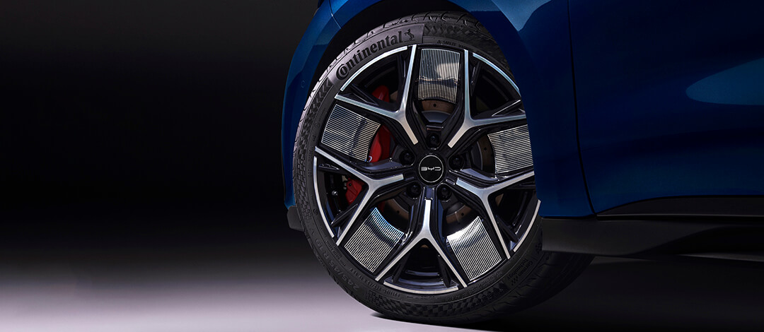 Política de Asistencia de Camino